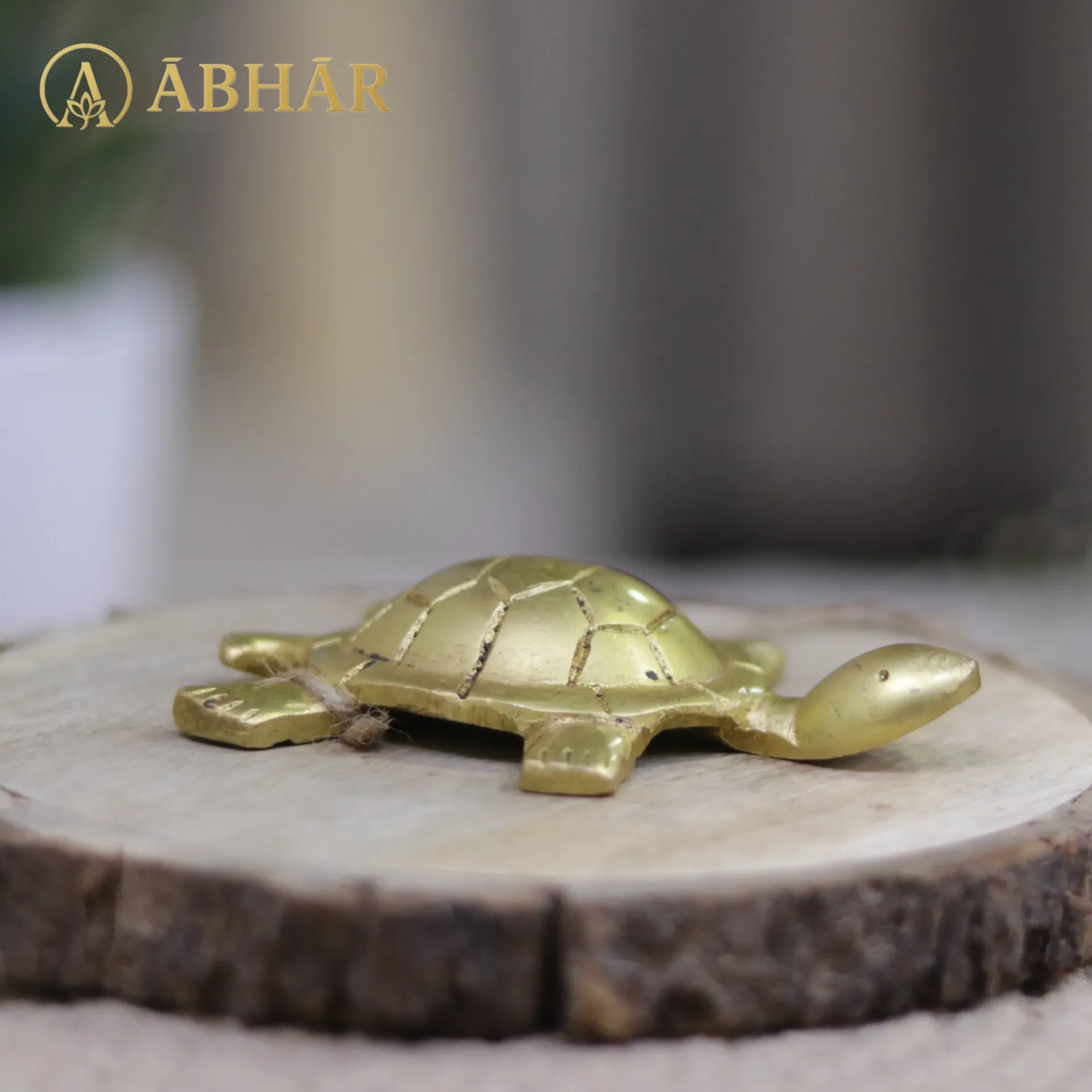 [B041] Brass Tortoise – Symbol of Stability & Longevity | 3"