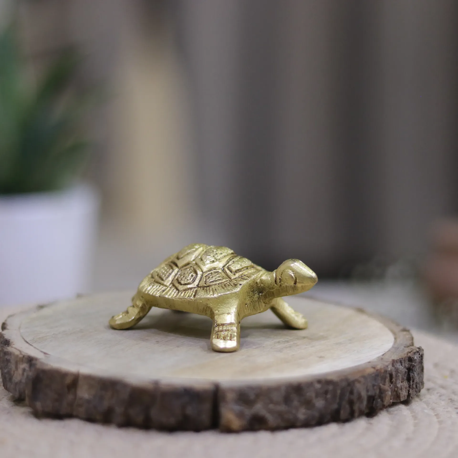 Brass Tortoise – Symbol of Stability & Longevity | Flat 3.5"